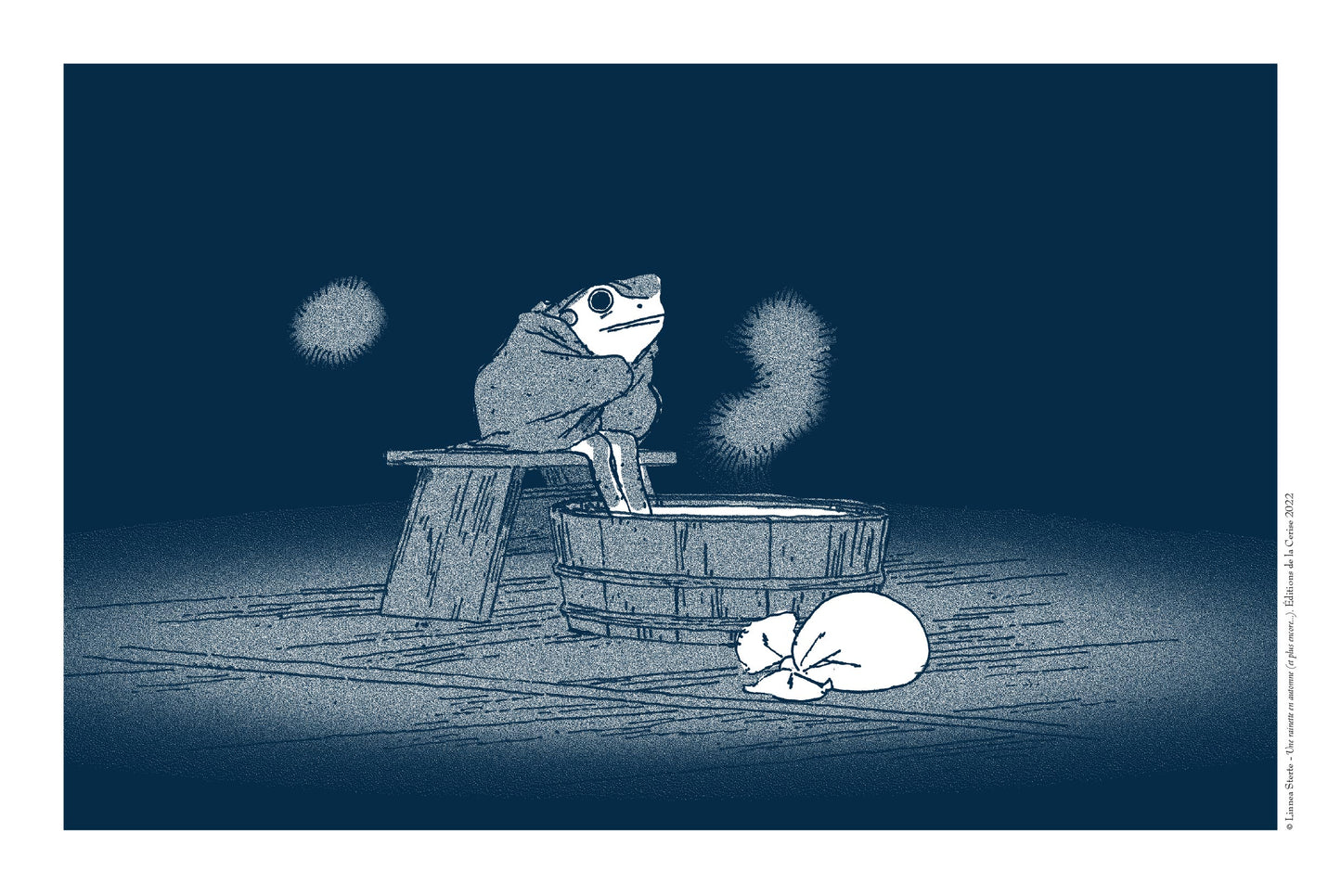 A Frog in its Bath