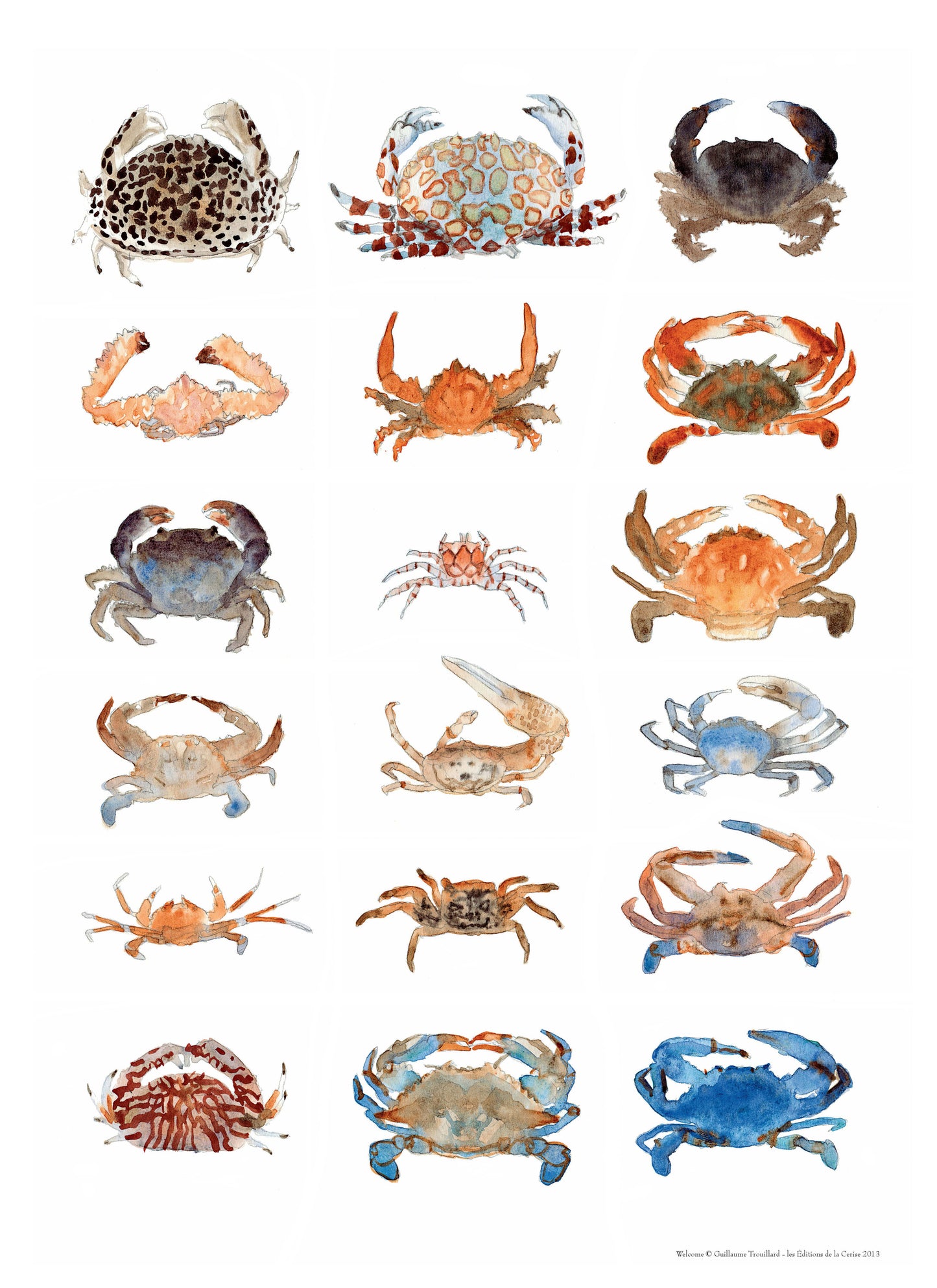 Crabs - Welcome