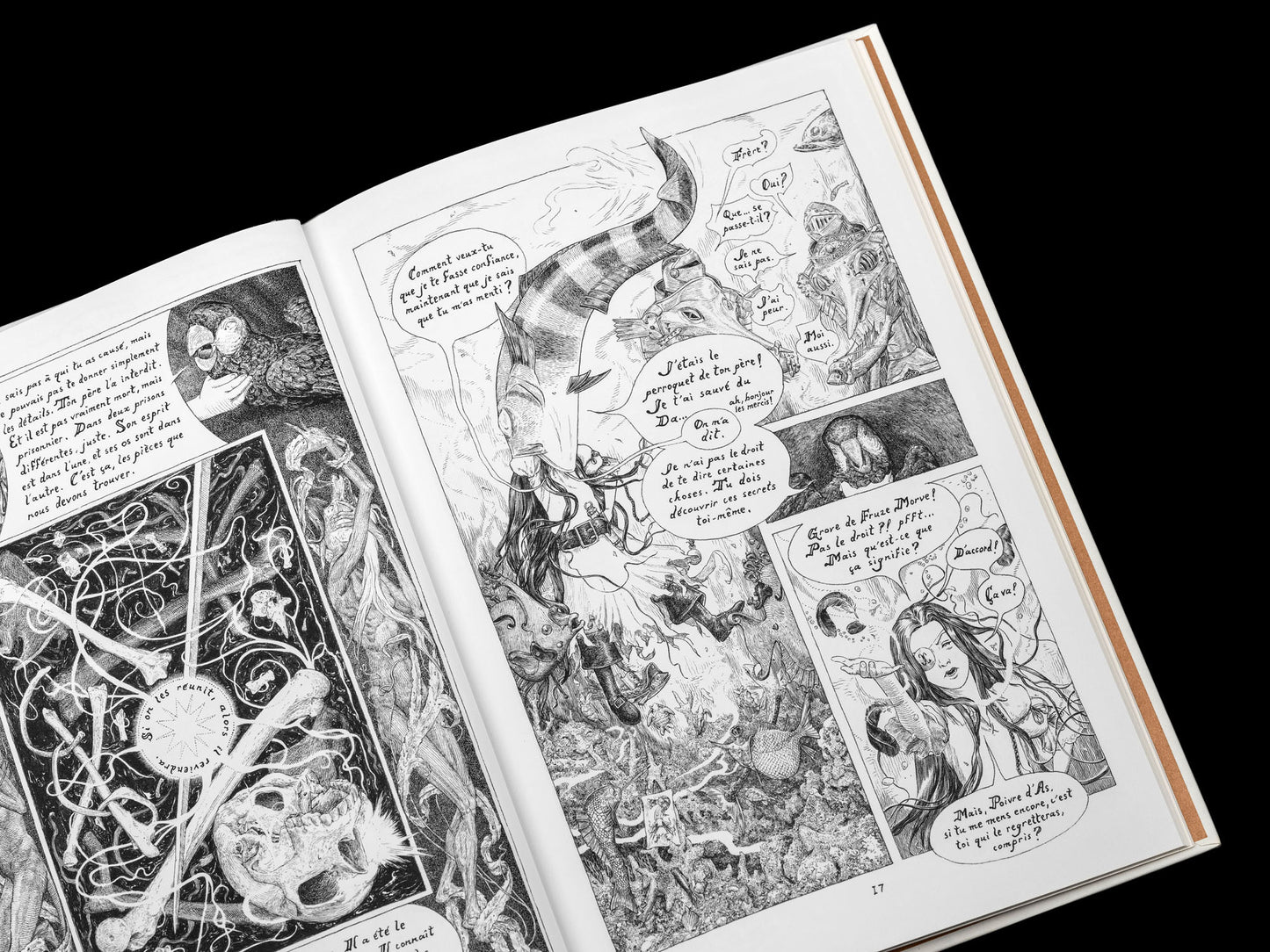 La Fille Maudite du Capitaine Pirate - Volume Deuxième