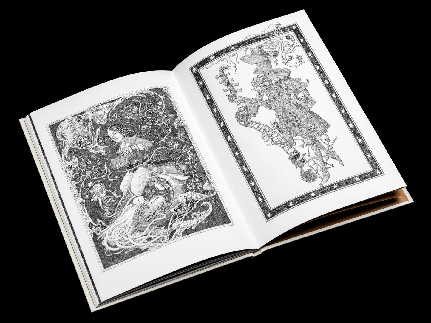 La Fille Maudite du Capitaine Pirate - Volume Troisième