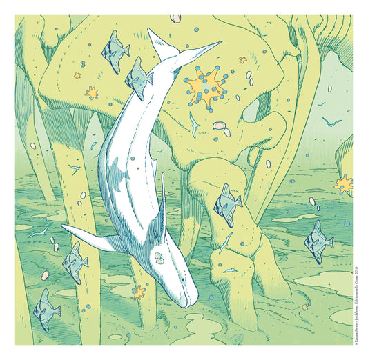 Beluga - In-Humus