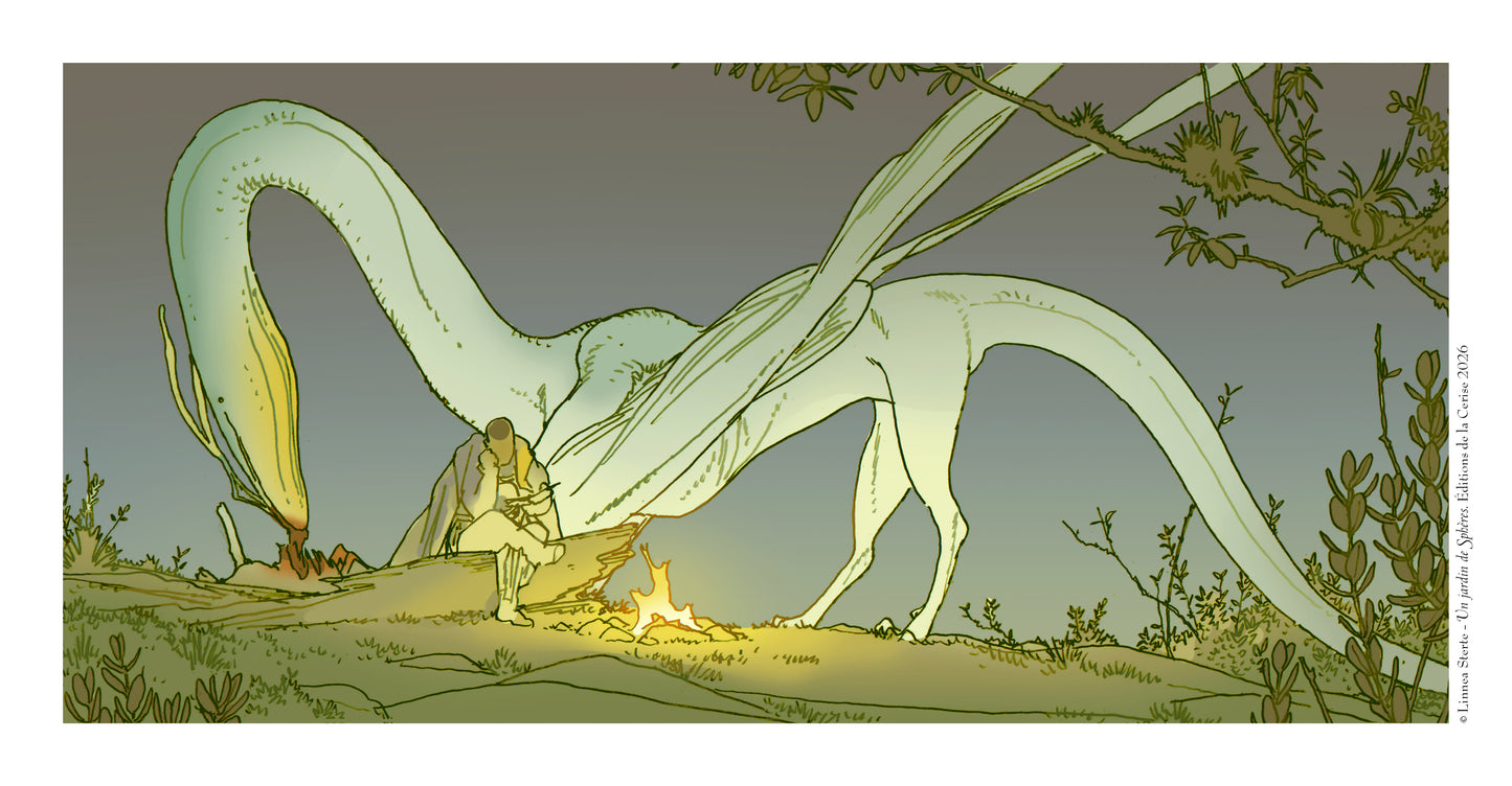 Dragon - Un jardin de sphères