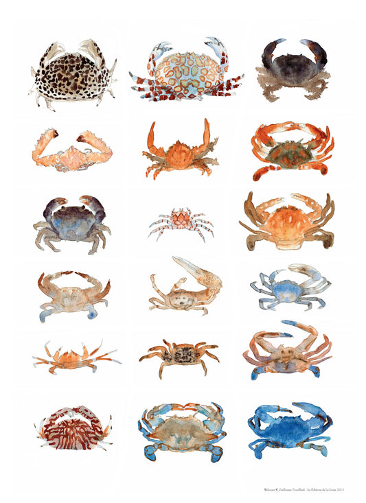 Crabes - Welcome