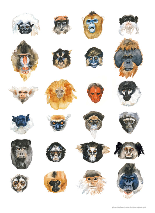 Primates en voie d'extinction - Welcome