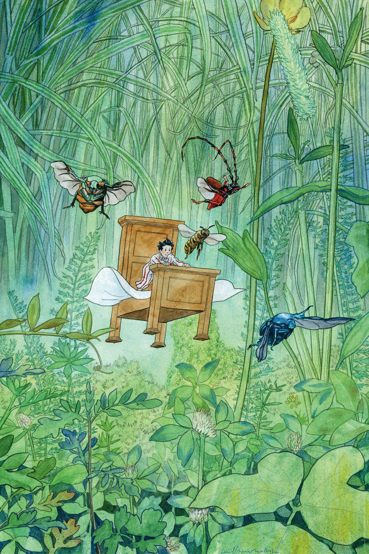 Little Nemo